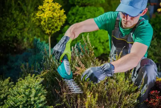 landscaping services Claryville
